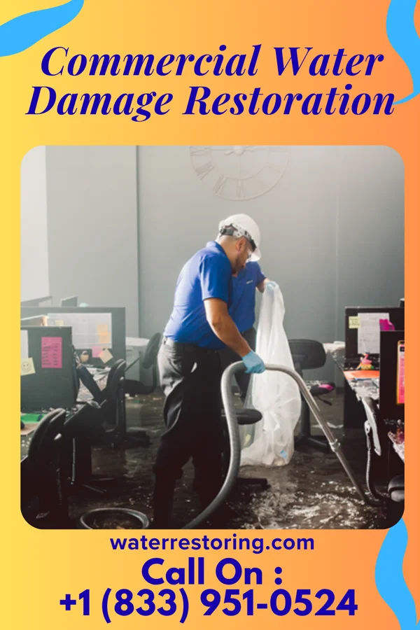 Commercial Water Damage Restoration in Whiteland, IN