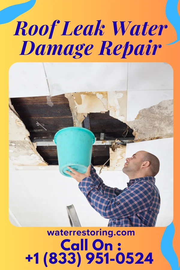 Roof Leak Water Damage Repair in Whiteland, IN