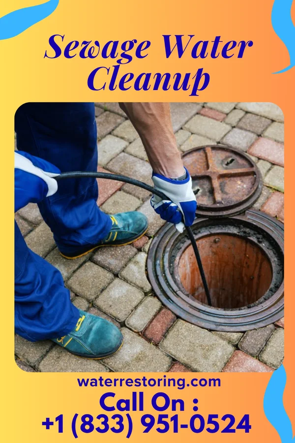 Sewage Water Cleanup in Whiteland, IN
